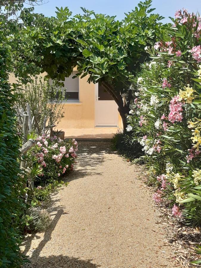 Petite Maison De Campagne Gardoise Théziers Exteriér fotografie